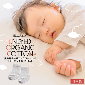 Kids' Socks Socks Cotton 7 ~ 9cm 【2024NEW】 Made in Japan