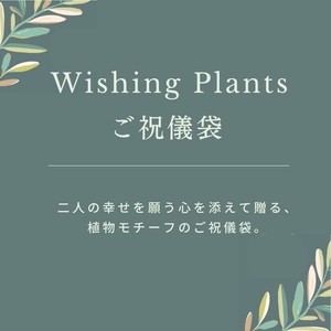 Wishing Plants ご祝儀袋 バニーテール GWP-02