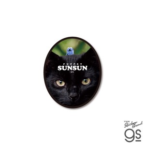 パペットスンスン ダイカットステッカー 黒猫とスンスン キャラクター PUPPET SUNSUN ステッカー PSU-008