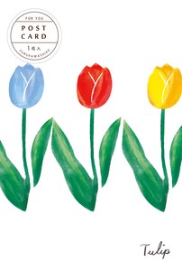Furukawa Shiko Postcard Tulips