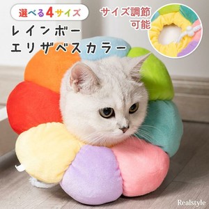 Cat Collar Rainbow Pet items