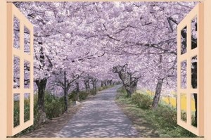 お風呂のポスター　四季彩　春(桜並木)