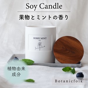 ソイキャンドル ／ ミントの香り【日本製  蓋付き 癒し アロマキャンドル インテリア 父の日ギフト】