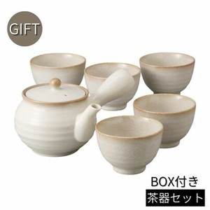 Mino ware Japanese Teapot Gift Set Made in Japan