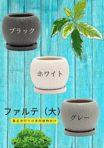Pot/Planter L size