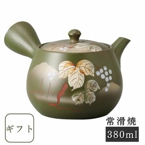 Tokoname ware Japanese Teapot Gift Set Made in Japan
