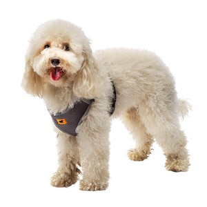 Dog Harness Size S