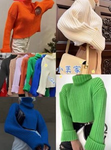 Sweater/Knitwear Pig