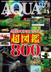 月刊アクアライフ 2024年01月号 2024年アクアリウム超図鑑800