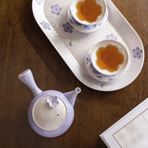 Hasami ware Teapot Arita ware Tea Pot