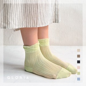 Leg Warmers Sheer Stripe Socks 2024 Spring/Summer