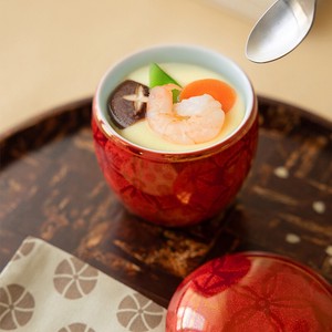 Hasami ware Tableware Arita ware