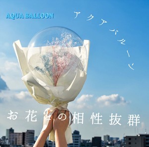 【高品質】アクアバルーン 12.5cm ラウンド 透明 　誕生日 ギフト アレンジ