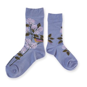 Crew Socks Spring/Summer Socks Ladies' 2024 Spring/Summer Made in Japan