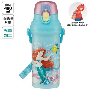 Water Bottle Ariel Antibacterial Dishwasher Safe