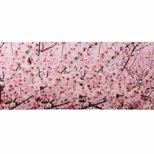 ディスプレイシート 桜満開 200×87cm