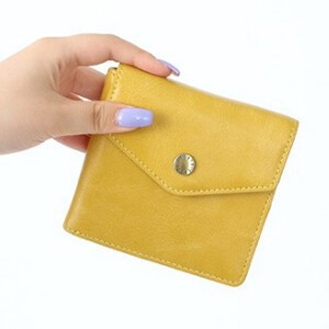 Bifold Wallet Legato Largo Pocket Clear