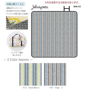 Picnic Blanket Stripe Spring/Summer