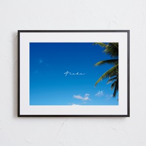 【おしゃれアートポスター】ハワイ 青空 ヤシの木 風景 景色 写真 photo A4 A3 A2