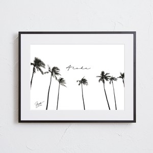 【おしゃれアートポスター】ハワイ ヤシの木 風景 景色 モノトーン 白黒 写真 photo A4 A3 A2