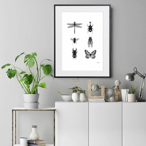 【おしゃれアートポスター】昆虫 線画 ドローイング モノトーン イラスト A4 A3 A2