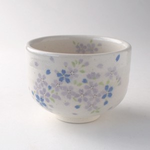 Mino ware Japanese Teacup Made in Japan