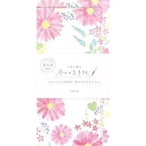 Furukawa Shiko Store Supplies Envelopes/Letters Set Today'S Letter