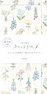 Furukawa Shiko Letter set Dry flower Today'S Letter