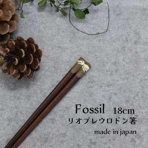 【Fossil　リオプレウロドン箸】恐竜 箸 18cm 日本製 ［こども箸］［動物］