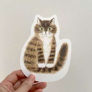 Greeting Card Cat