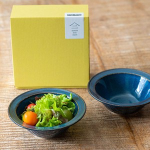 Mino ware Donburi Bowl Gift M Western Tableware Set of 2 Made in Japan