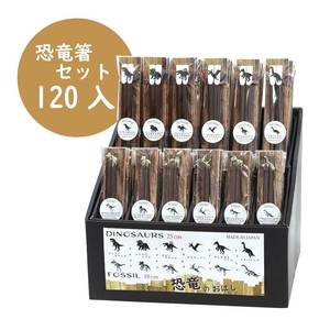 Chopsticks Dinosaur Silhouette M Made in Japan