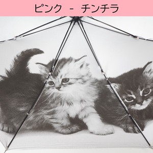 定番商品　人気商品　売れ筋　ピンク-チンチラ　60cm　晴雨兼用　裏面動物写真プリント傘