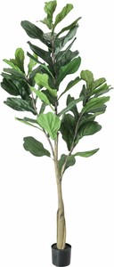 【造花】【グリーン】【人工樹木】カシワバゴム　グリーン　GLP-1546