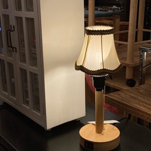 Shiny Floor Lamp