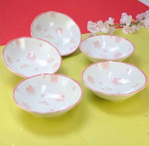 Mino ware Main Plate Cherry Blossoms 5-pcs pack