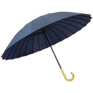 梅雨に傘はいかがですか　24本骨　匠