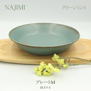 Mino ware Main Plate Popular Seller Made in Japan