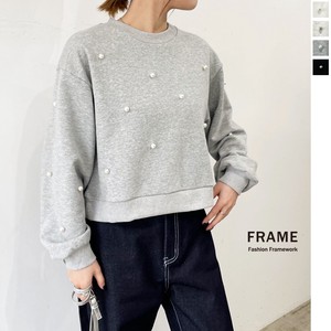 Sweatshirt Pullover sliver 【2024NEW】
