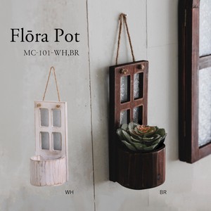 Pot/Planter Garden Series