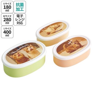 【スケーター】抗菌シール容器3Pセット 【茶太郎ときなこ】 日本製