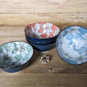 Mino ware Donburi Bowl 5-colors Made in Japan