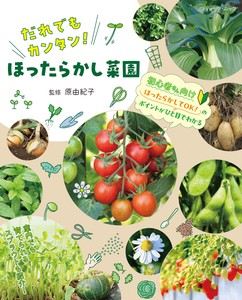 Exterior/Gardening Magazine Book