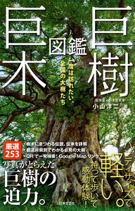 巨樹・巨木図鑑
