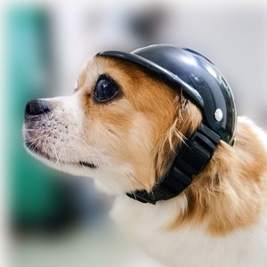 ペット用品 ヘルメット アクセサリー 犬用 帽子 小中型 S M 安全 調節可能 着脱簡単 人気