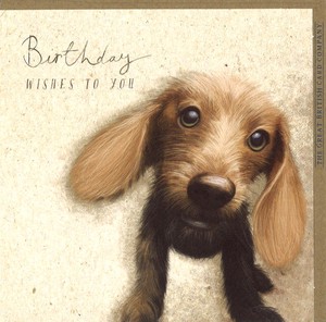グリーティングカード 誕生日「犬」 動物 メッセージカード イラスト 2024新作