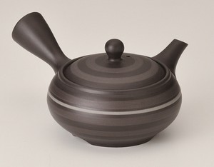 Tokoname ware Japanese Teapot collection Tea Pot