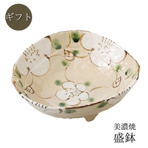 Mino ware Main Dish Bowl Gift Set Made in Japan
