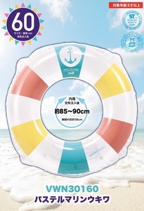 Swimming Ring/Beach Ball Pastel 60cm