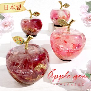 Pre-order Object/Ornament Herbarium Gift Apple Presents Made in Japan